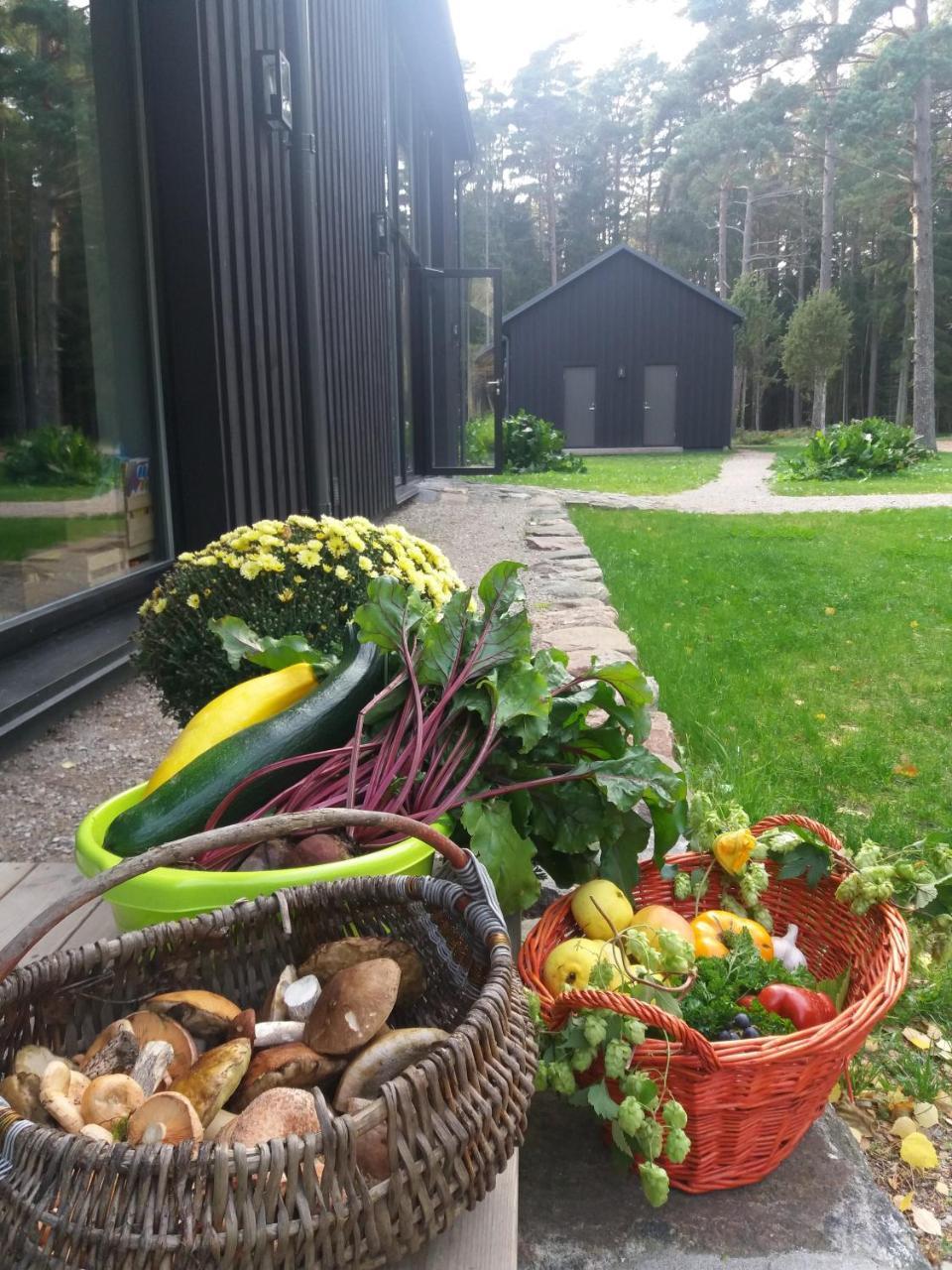 Hobekala Guesthouse Kalana Zewnętrze zdjęcie